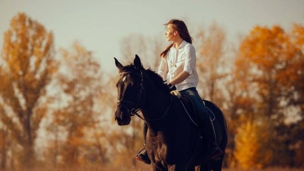 اعرف أكثر عن تفسير رؤية ركوب الخيل لابن سيرين