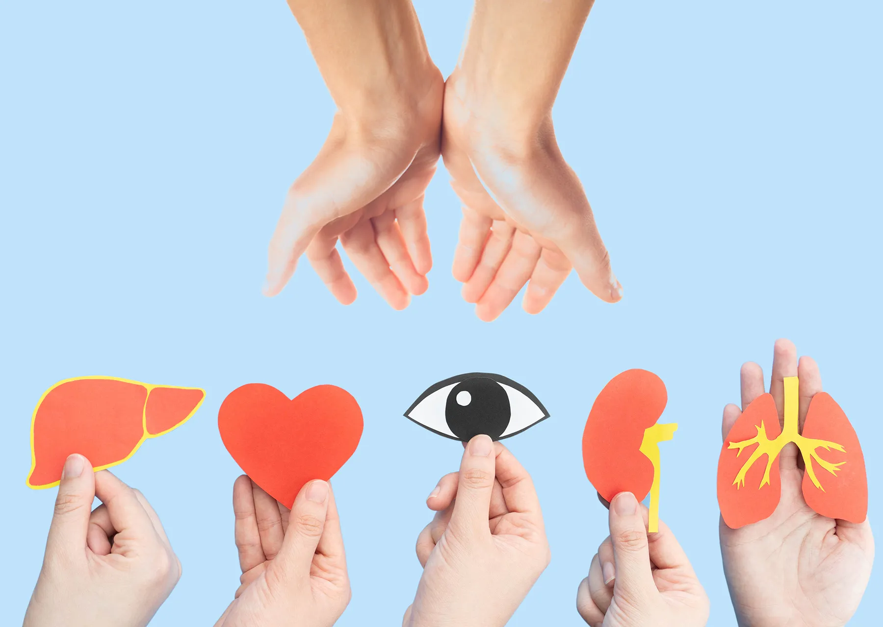 ما هو تفسير حلم التبرع بالاعضاء عند ابن سيرين؟