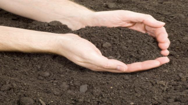 ما هو تفسير رؤية التراب البني في المنام للعزباء؟